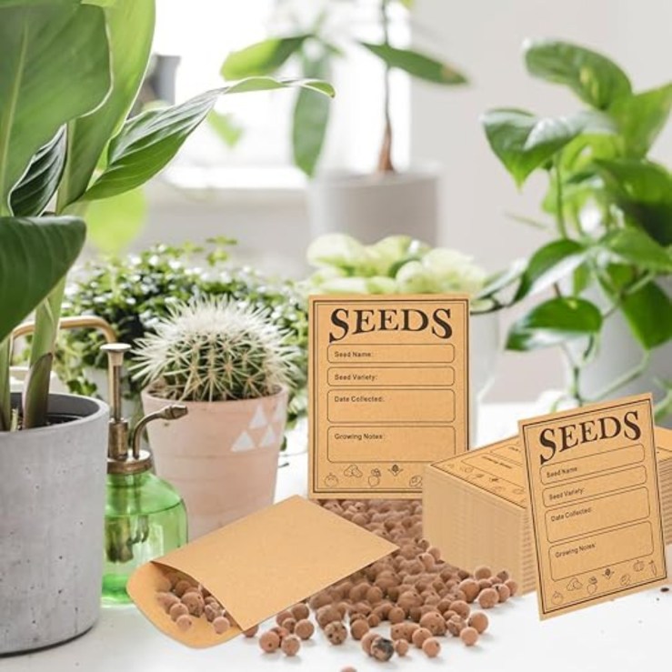 Moringa seeds, Forgotten Wisdom, Non GMO seeds, organic seeds, superfood, tree of life