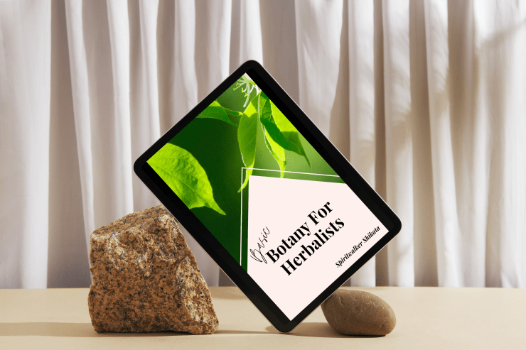 Basic Botany, Herbalism, Author Spiritwalker, Herbal eBook