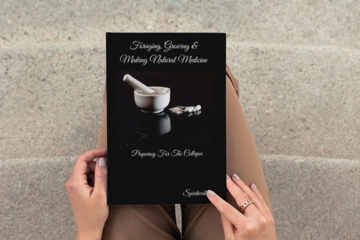 Preparing for the collapse, book series, Author Spiritwalker, prepping, survival, gray man, grey man, self protection, paperback books, hardback books, ebooks, off grid living, preparing for the collapse